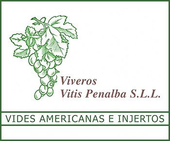 Viveros Vitis Penalba